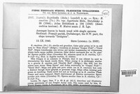 Image Associated With the Occurence